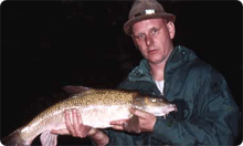 Click to read full article...