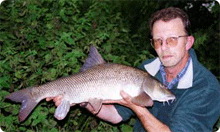 Click to read full article...