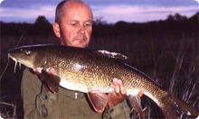 Click to read full article...