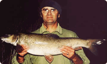 Click to read full article...