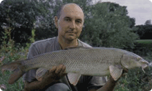 Click to read full article...