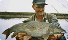 Click to read full article...