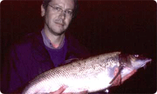 Click to read full article...