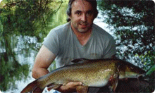 Click to read full article...